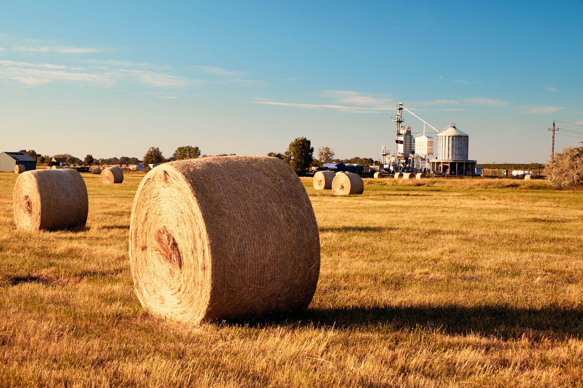 Farmland