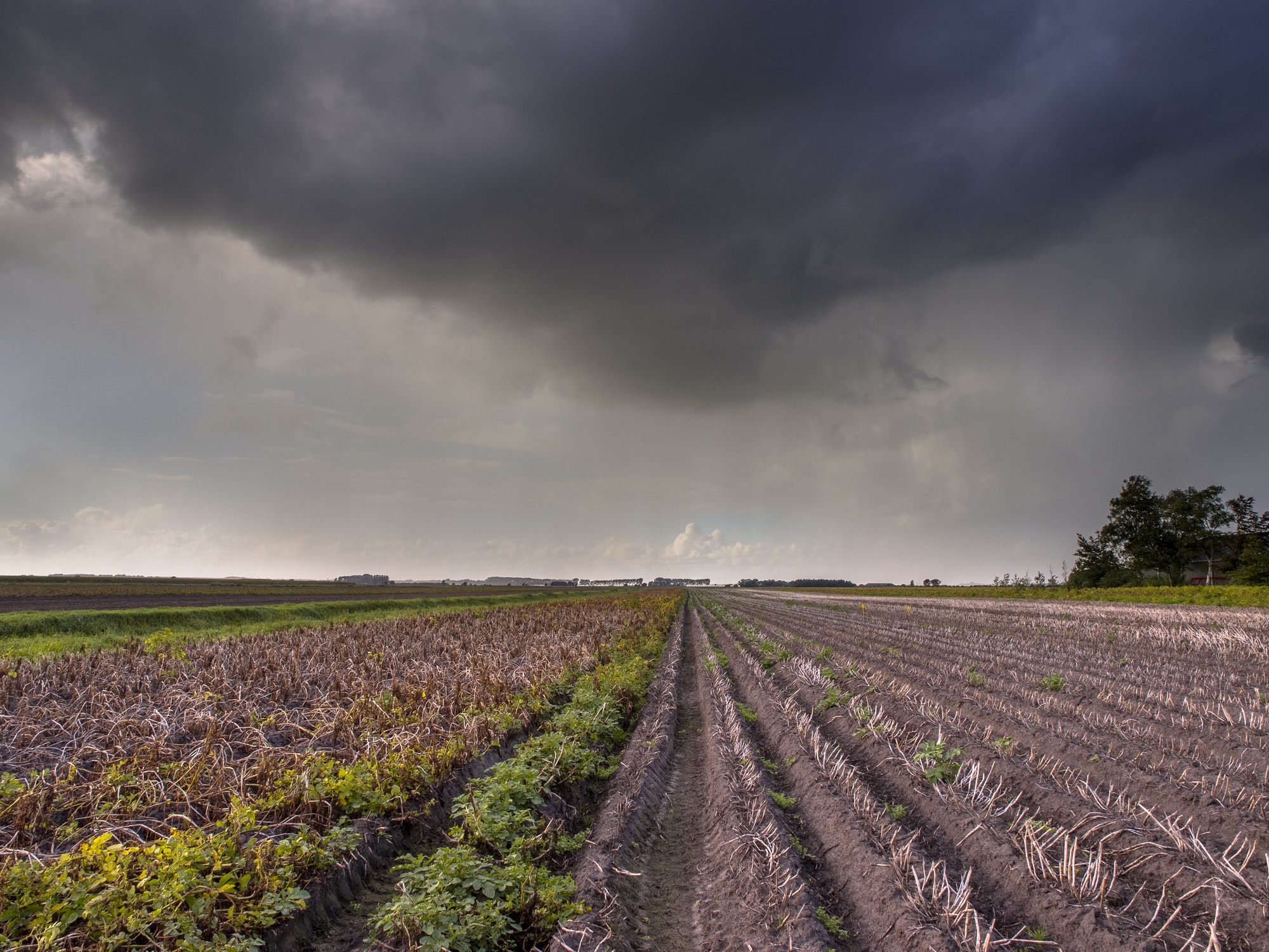 Storm over agricultural field Netherlands